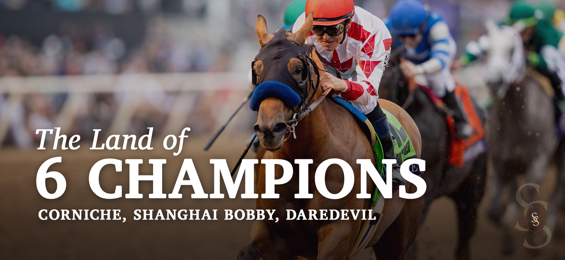 The Land of 6 Champions Corniche, Shanghai Bobby, Daredevil